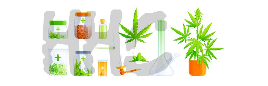 HHC: Todo lo que Necesitas Saber sobre el Cannabinoide Emergente