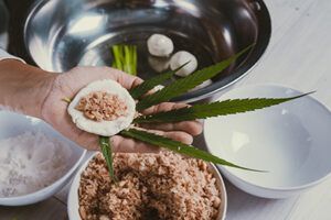 origen de la cocaina