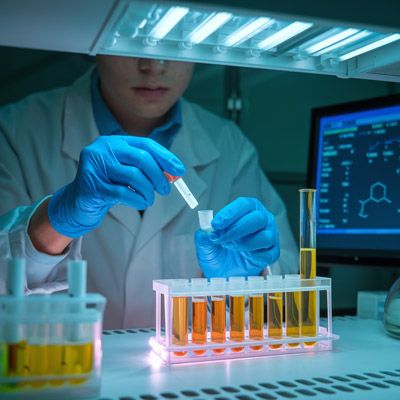 Benzoilecgonina: Importancia en las Pruebas de Orina para detección de cocaína
