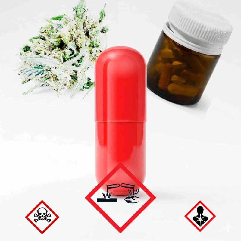 nueva droga | karkubi
